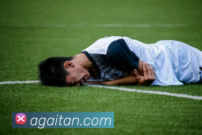 体育直播服务